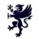 Chimney Exam logo